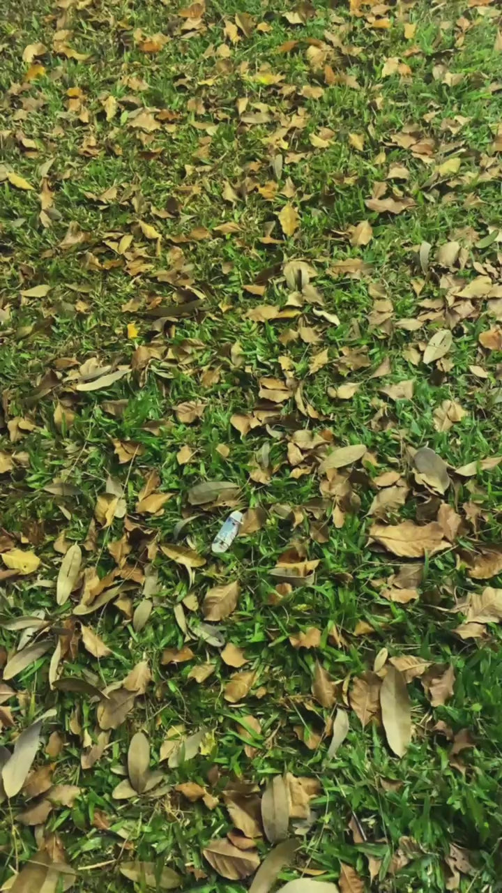 Dejavu
